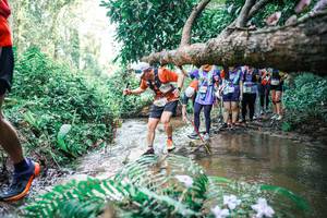 BIB: 
                            <button type="button" onclick="openModal(25476231)" class="btn btn-primary btn-sm float-right btn-popup" data-toggle="modal" data-target=".modal-high-quality">
                        <i class="fas fa-shopping-cart"></i> Add to Cart
                    </button>
                                            <button type="button" onclick="isThisMe(25476231, true)" class="btn btn-success btn-sm float-right btn-popup btn-isme hidden" data-toggle="tooltip" data-placement="bottom" title="นี่คือรูปของคุณใช่ไหม คลิกที่นี่เพื่อเอาเข้าอัลบั้ม">
                        <i class="fas fa-plus"></i> Add to album
                    </button>
                    <button type="button" onclick="isThisMe(25476231, false)" class="btn btn-warning btn-sm float-right btn-popup btn-isnotme hidden">
                        <i class="fas fa-ban"></i> Remove from album
                    </button>